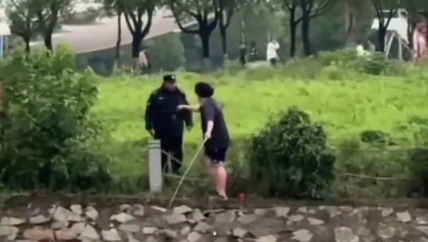 澳门管家婆网,温以凡香港刷盘子,精准解释落实及其象征意义_iPadV10.74